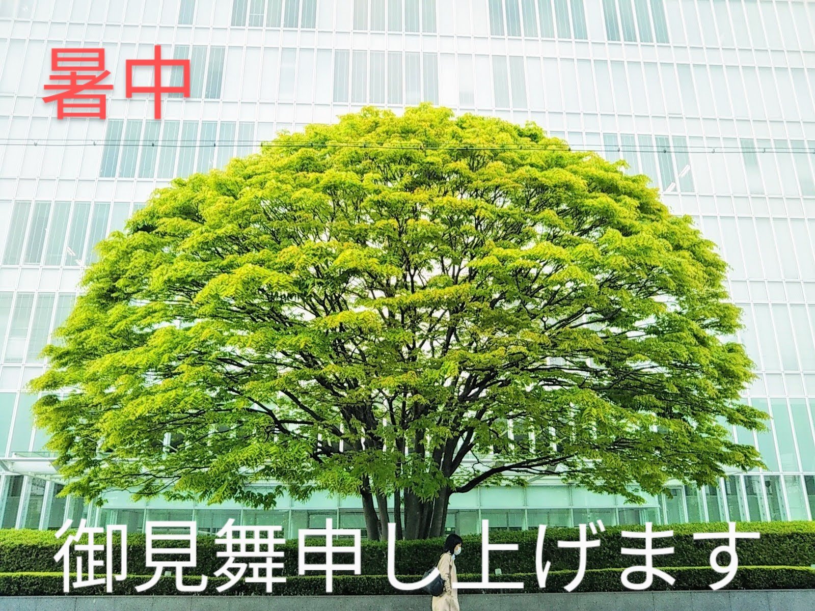 オリンピックテレビ観戦 Twitter Search Twitter