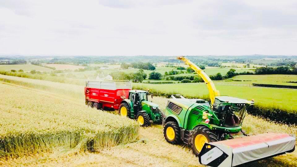 FarmDonagh's tweet photo. Beautiful day to get started at the forage rye ☀️☀️🌾🌾🥛🥛 https://t.co/6kfR3lwajy