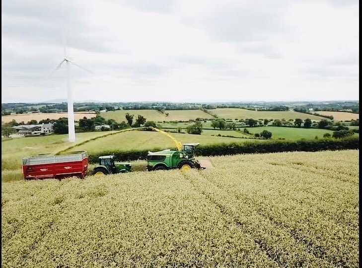 Beautiful day to get started at the forage rye ☀️☀️🌾🌾🥛🥛