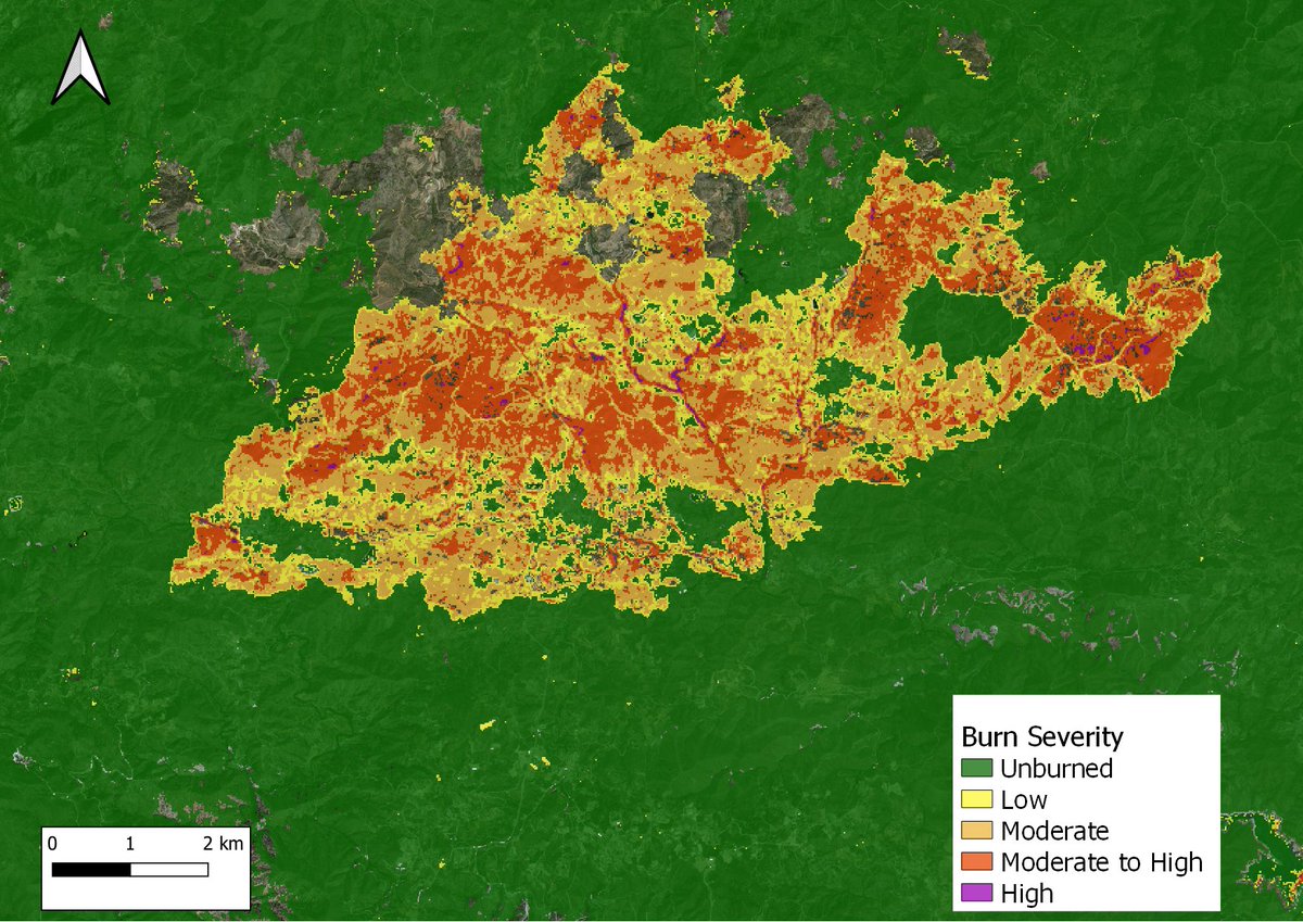 Geofem tweet media