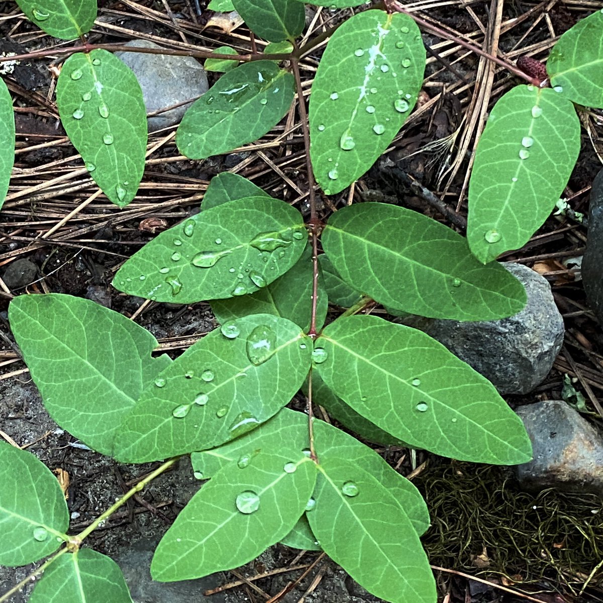 Women for the World (@women4_world) on Twitter photo 