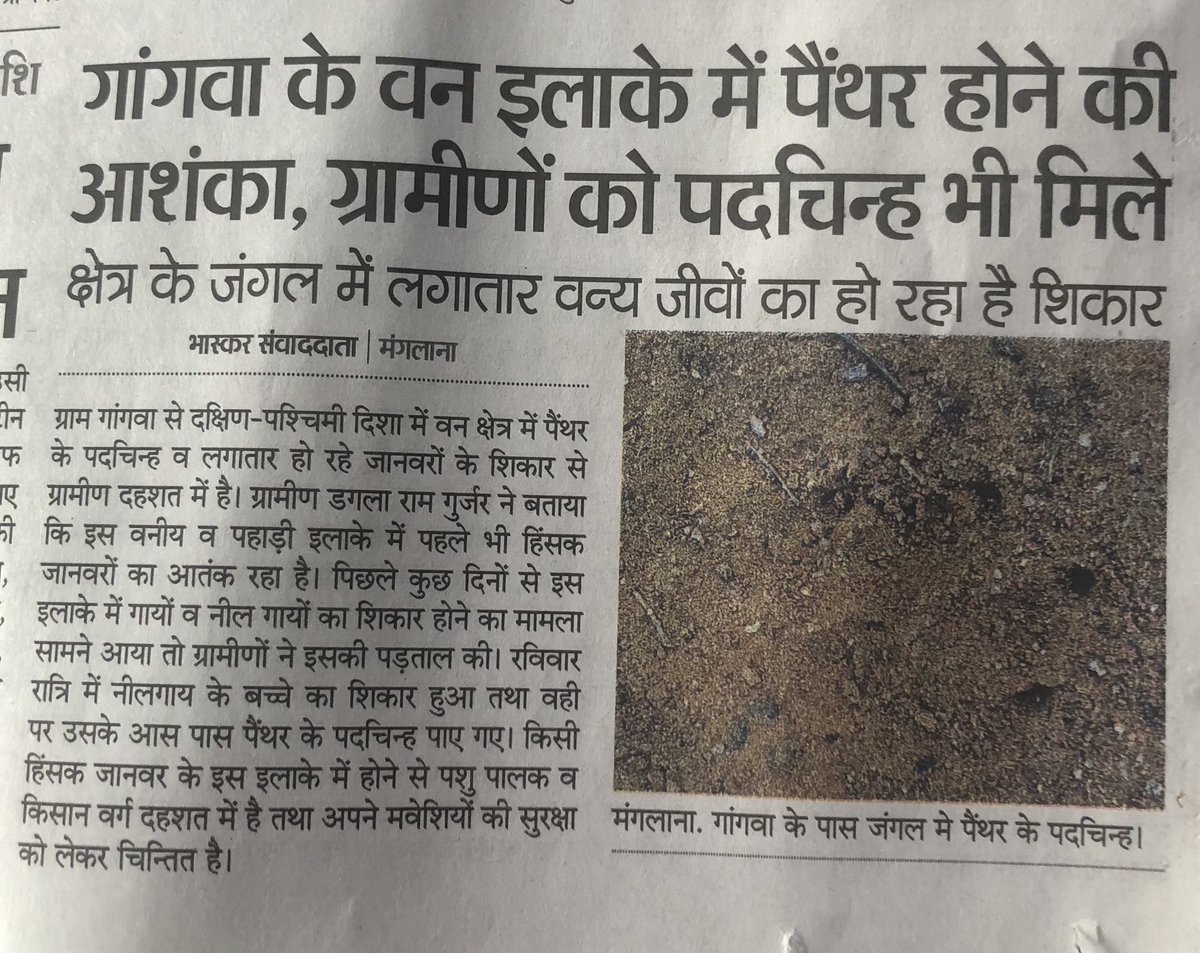 #gangwa #manglana in nagaur distt tehsil #parbatsar  protected forest land  reserved for national park / wildlifesantury habitation area in this area found some nilgai , panther small flora founa #nationahighway #greenfieldexpressway section please make tourist spot @byadavbjp