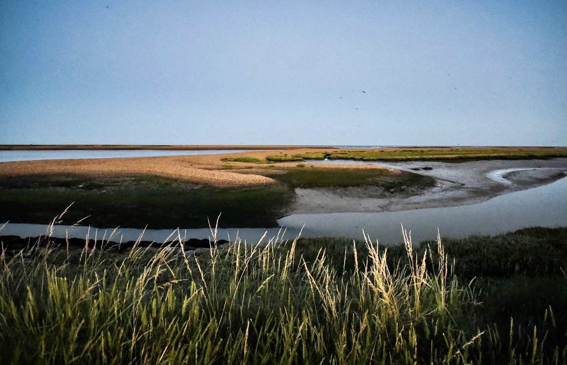 AldeOreTrust's tweet photo. The mouth of the River Ore at Shingle Street; a beautiful spot for an evening walk along the estuary. (📷 credit Dinah Butler).
•
#riverore #shinglestreet #sosestuary #floodaware #riverdefence #suffolk https://t.co/rg6osveQh4