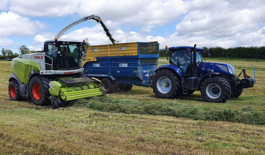 The_Grassmen's tweet photo. Who doesn't love a bit of Blue Power? https://t.co/vHEHFuABKT