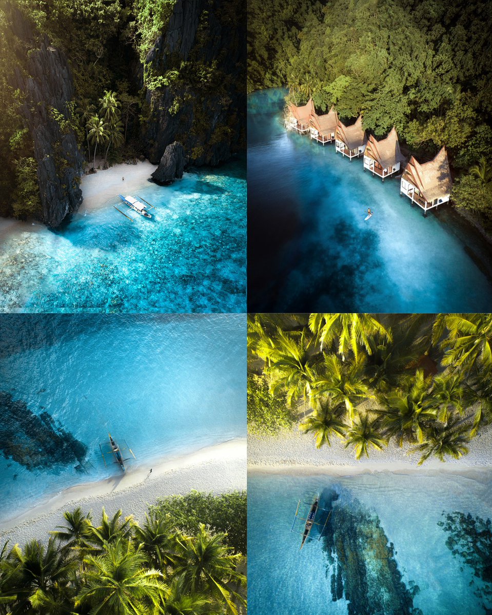 Merr Watson tweet media