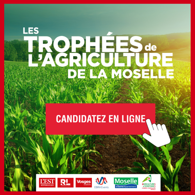 LeRL_Metz's tweet photo. 📍📣 Vous êtes agricultrice ou agriculteur en Moselle ?
Déposez votre dossier de candidature pour notre 3e édition ➡ https://t.co/68zGNLo4eq
🔷 Un événement #EBRAEVENTS que nous organisons en partenariat avec la Chambre d'Agriculture https://t.co/YkUL0xzuU8