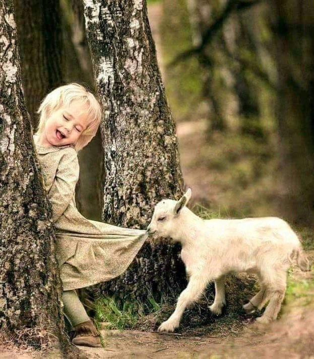 وأقبلَ العِيدُ بالأفرَاحِ مُنتشيًا
يا فرحةَ العِيدِ زُوري كُلَّ أحبَابِي 🦋