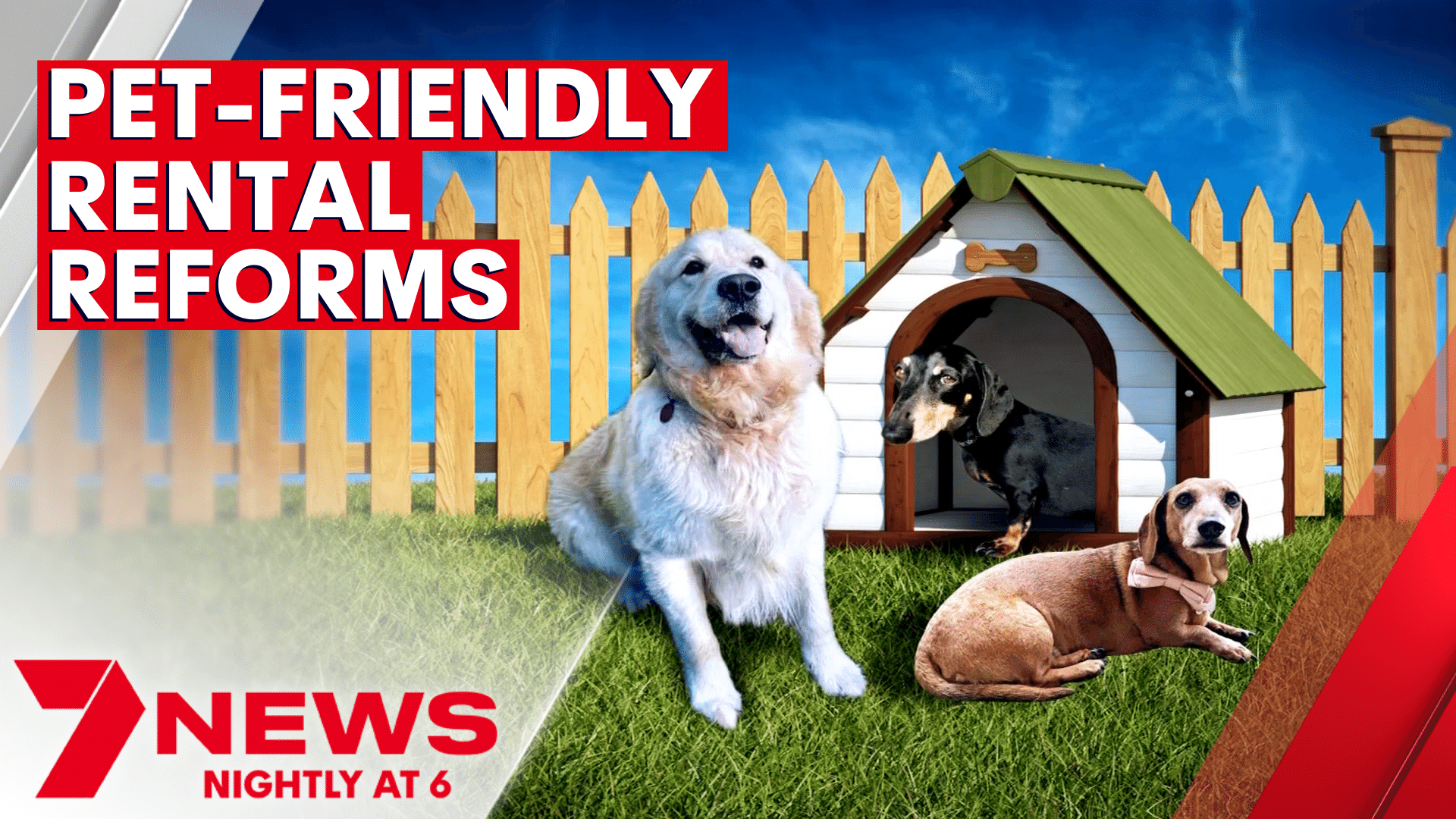 7NEWS Brisbane on Twitter "It could soon be easier for tenants to rent with their pets, under