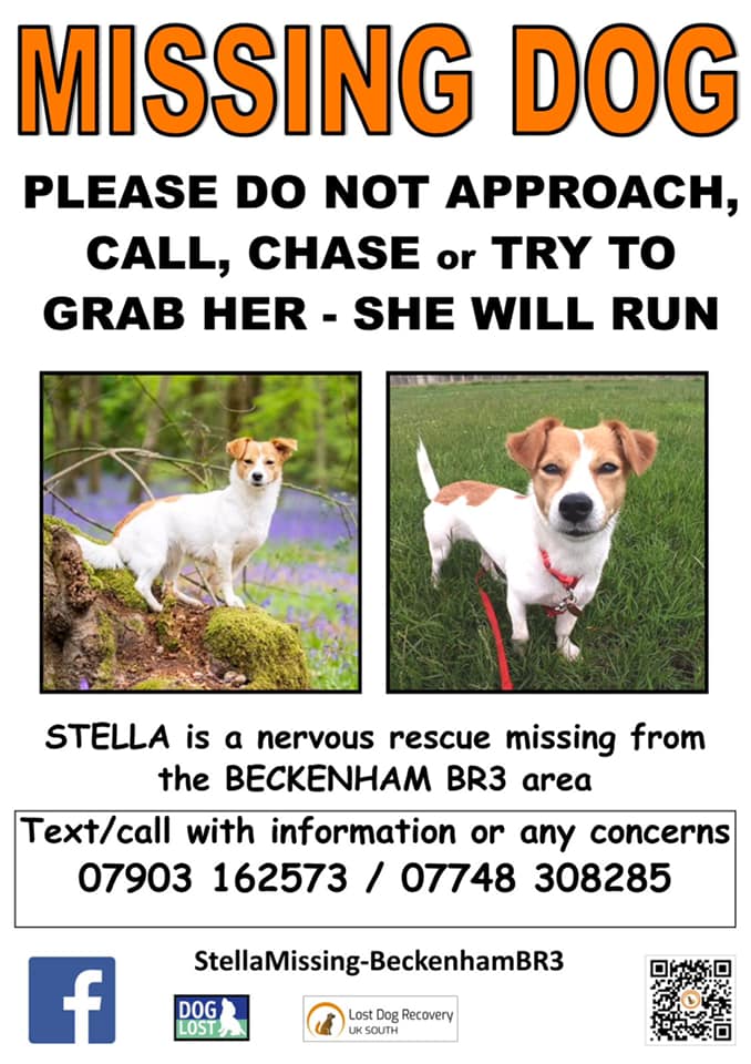 Stella went missing yesterday from the borders of #SE20 &amp; #BR3.  She ran up ElmersEnd Rd, but the last sighting of her was in Lennard Rd yesterday around lunchtime.  Please keep an eye out and please retweet. Thank you