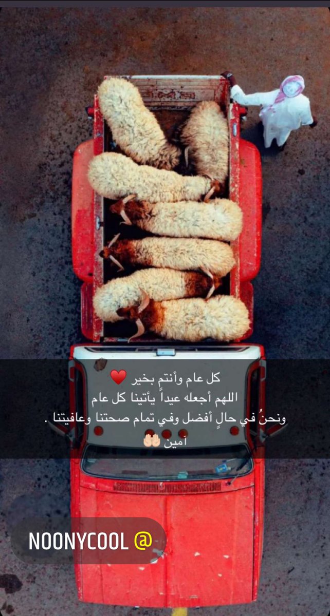 kallode1399's tweet photo. كل عااام وانتم بصحة وسعادة وحب ♥️ https://t.co/DNecIMHYjB