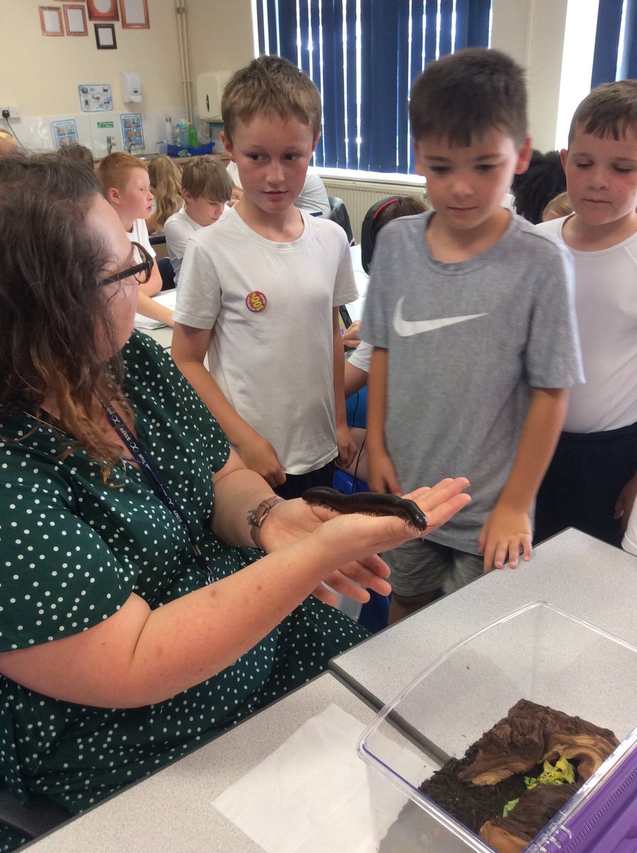 St Nicholas CE Primary Academy Pilgrims tweet media