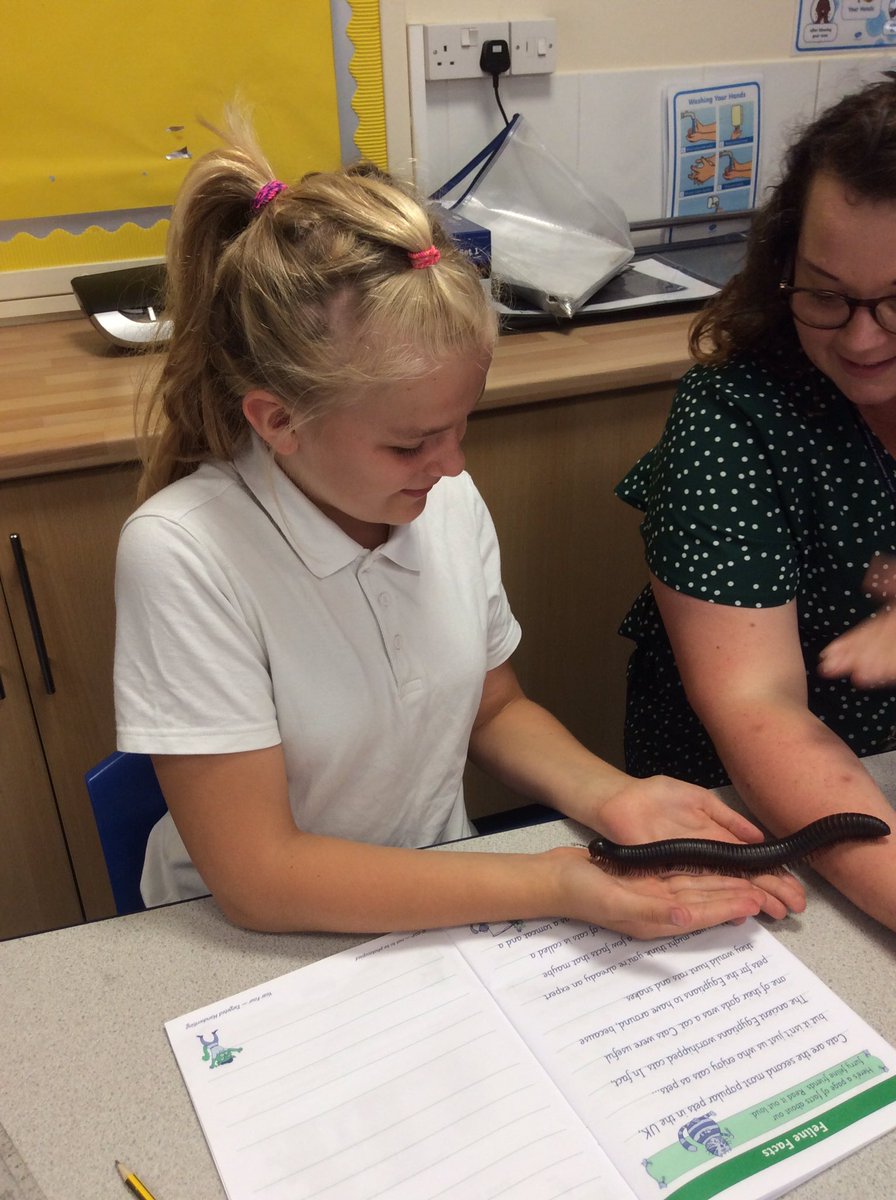 St Nicholas CE Primary Academy Pilgrims tweet media