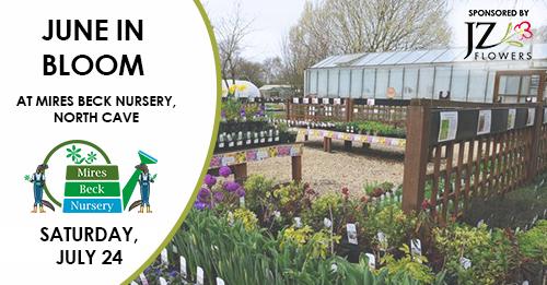 jz_flowers's tweet image. This year’s #JuneInBloom event has been rescheduled to take place at @MiresBeck this Saturday, July 24th, after the original date had been postponed as a result of Covid-19 restrictions.  

For full details, visit lnkd.in/d_-BTuk. 

#charity #community #northcave #family