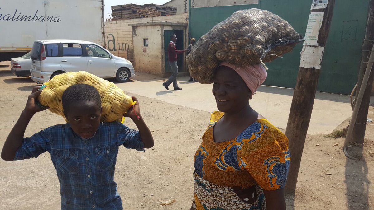 Buya_Bamba's tweet photo. #TerrificTuesday ZAMBIA NEEDS YOU πΏπ²
Bringing producers & consumers together. When you shop @Buya_Bamba you are a positive part of the local economy. Keep your KWACHA local!
#BuyaBamba #Zambia #Zambian #LocalPotatoes #buylocal #supportlocalbusinesses #supportyourlocalfarmers https://t.co/vaOFQXMMo3
