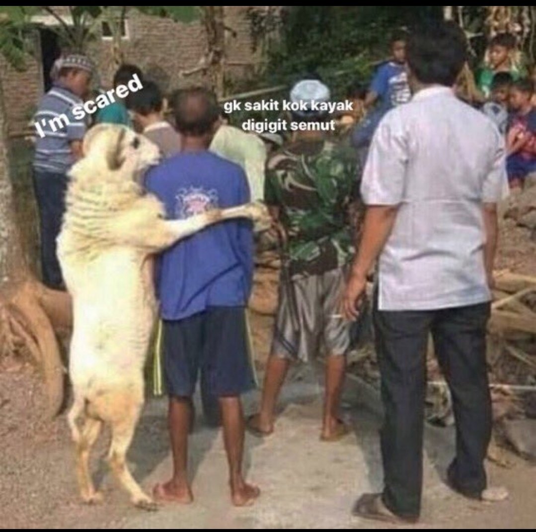 MET IMLEK (@txtharinasional) on Twitter photo 