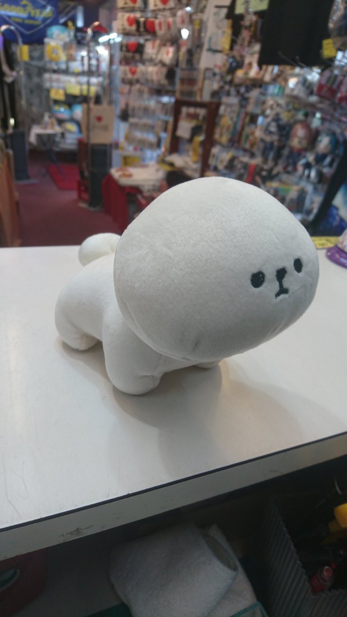 ヴィレッジヴァンガード西葛西 Vvnishikasai Twitter ヴィレッジヴァンガード西葛西 Vvnishikasai Twitter