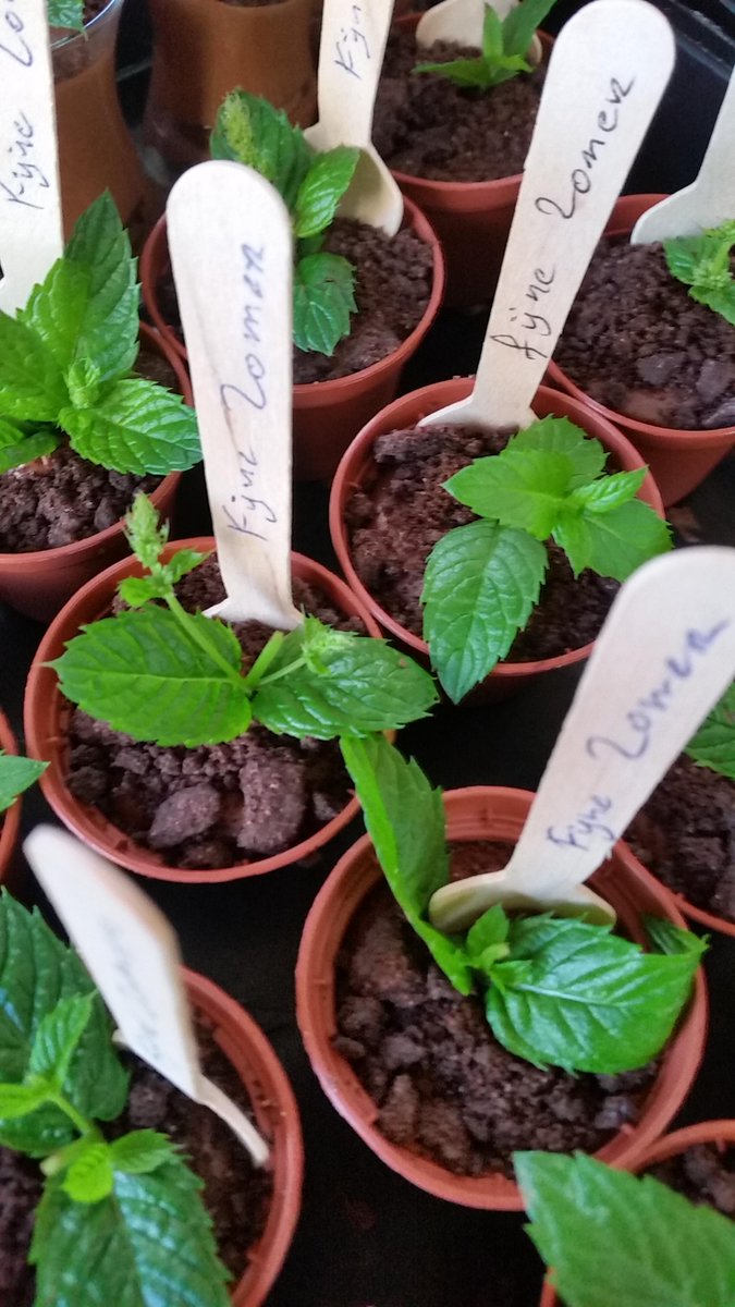 Groeizame Zomer.. genoeg water voor de plantjes...
Iedereen die op vakantie gaat in eigen land...
Fijne Zomer...
blijf Gezond en na de vakantie ;snel boeken voor de familie bijeenkomst in de nazomer..