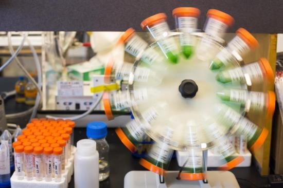 DNA&RNA Universe 𝕏 tweet media