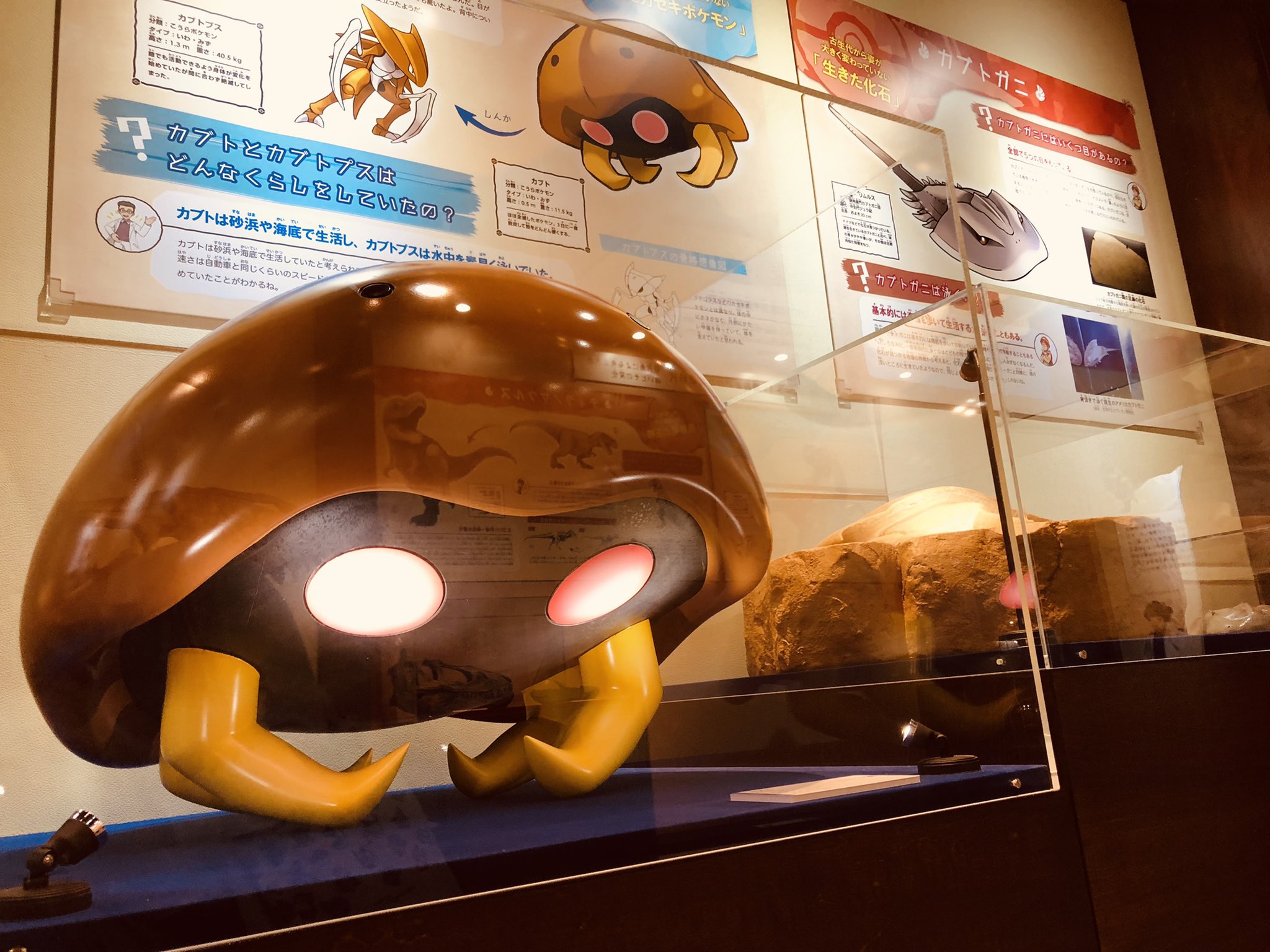 Toine Lay ポケモン化石博物館は凄く楽しかったわ ポケモン 化石 ってまさに子供の頃の夢が実現した感じで最高 Just Visited The Pokemon Fossil Museum In Hokkaido 10 Years Old Antoine Would Have Probably Passed Out From Sheer Excitement In