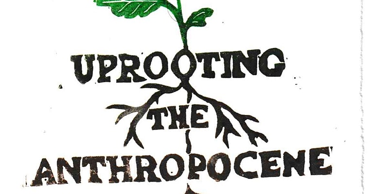 PlantHums_UK's tweet photo. #PlantThinking 22/7 9–18h BST 1 day online conference UPROOTING THE ANTHROPOCENE @TORCHOxford: 'how trees ... have engaged with &amp; formed networks alongside humans &amp; nonhuman others' #treeish #Register: https://t.co/uO2zhustYG @Kew_LAA @KewScience @RHULGeography @wakehurst_kew https://t.co/d4krtbNTcZ