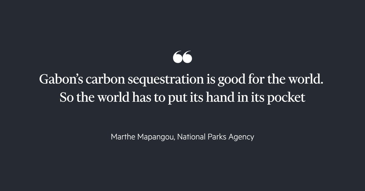 Gabon's rainforest provides the world a huge service. But who is paying?
ft.com/content/4f0579…