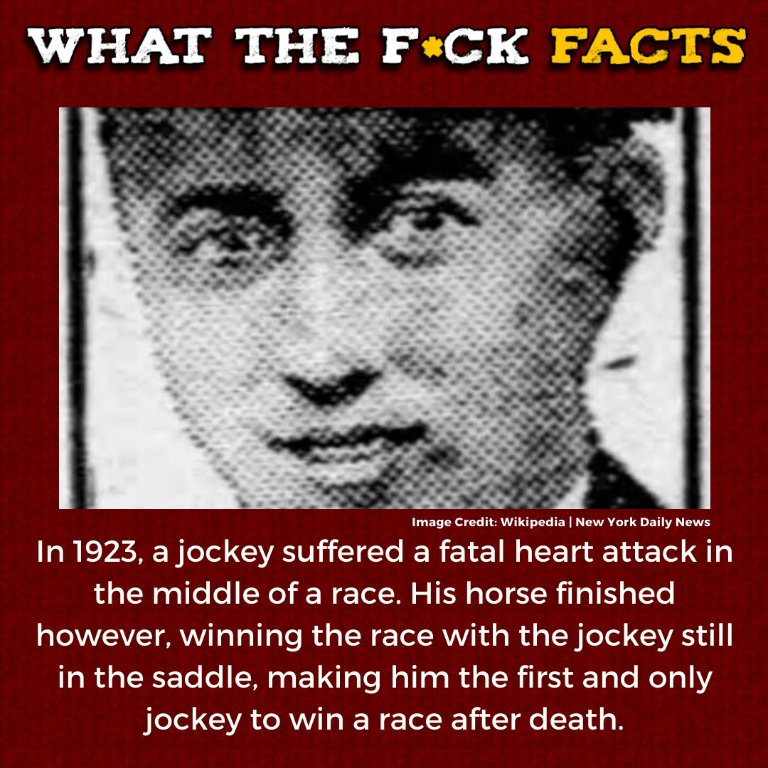 WhatTheFFacts's tweet image. 