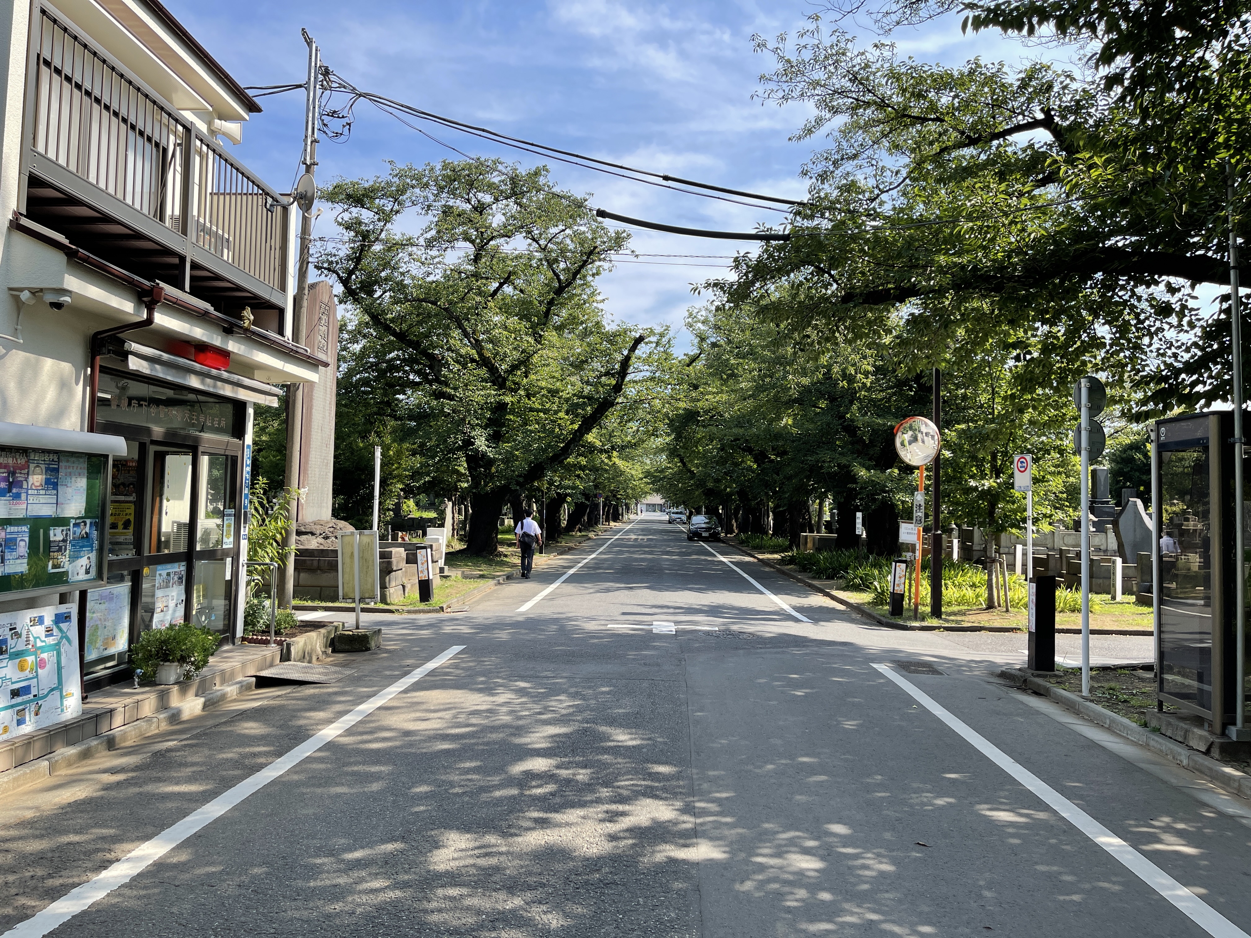 原田高志の英会話 英語スラング 略語講座 上野 谷根千 お寺の掲示板 De名言 It Is Ability Not Disability That Counts 失ったものを数えるな 残されたものを最大限生かせ パラリンピックの父ルートヴィッヒ グットマン 因みにワンピース
