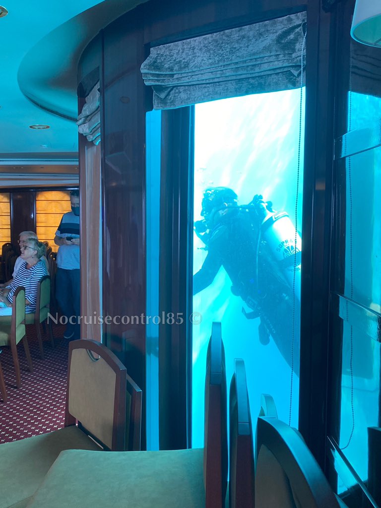 n0cruisecontrol's tweet photo. They’re very Inclusive on board Golden Horizon, the divers can join the morning lectures too 🤿 #diver #divepool #tradewindvoyages #goldenhorizon https://t.co/wpApg6VJmN