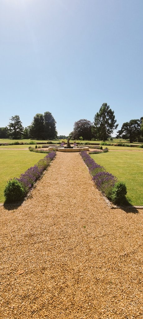 Ewen Thomas IG FIH tweet media