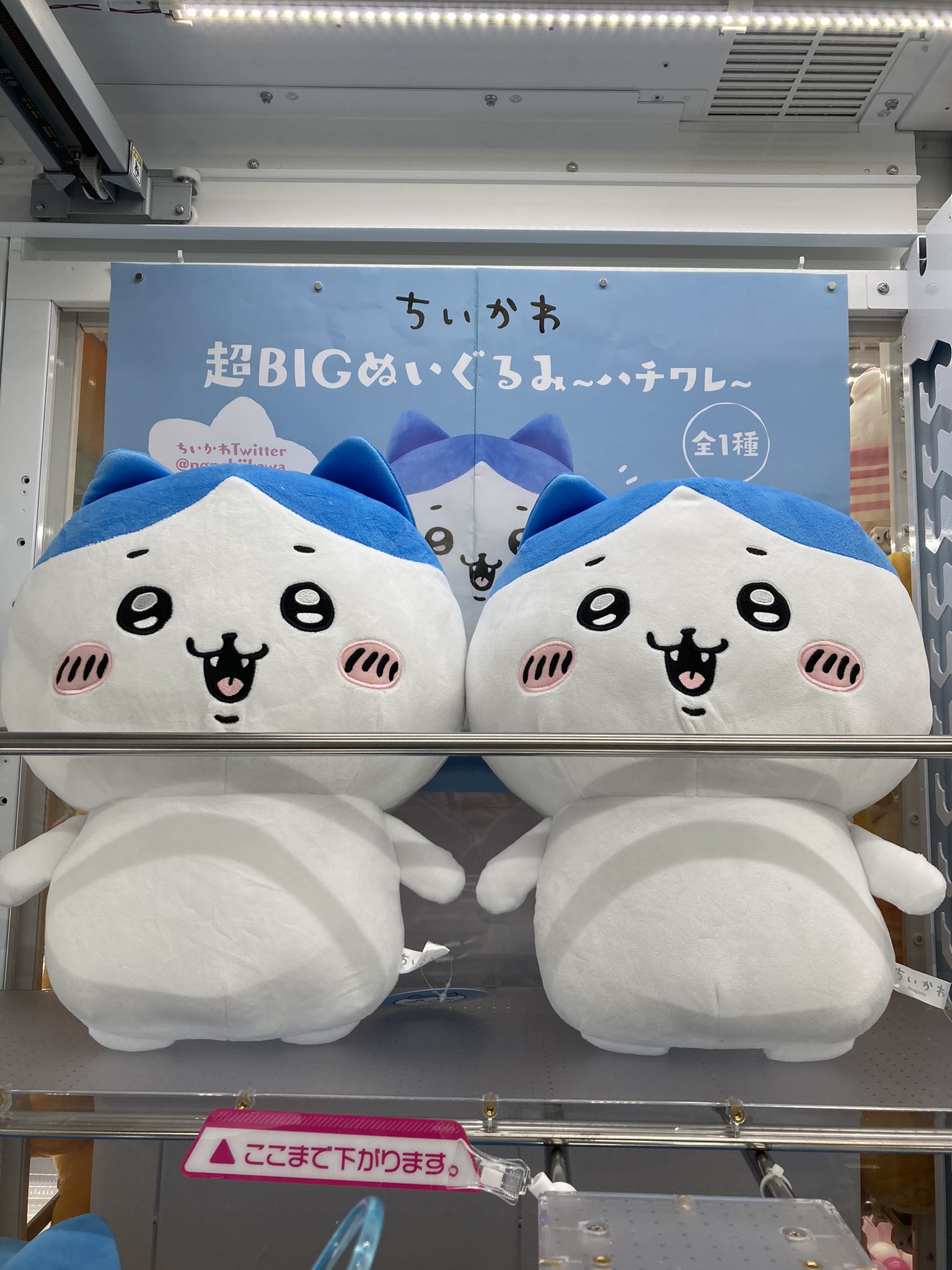 セガ日和田 本日の入荷景品 ちいかわ 超bigぬいぐるみ ハチワレ 僕のヒーローアカデミア ラバーバッジ 第二弾 セガ限定 セガ日和田 僕のヒーローアカデミア ちいかわ T Co Wajvrfyokx Twitter
