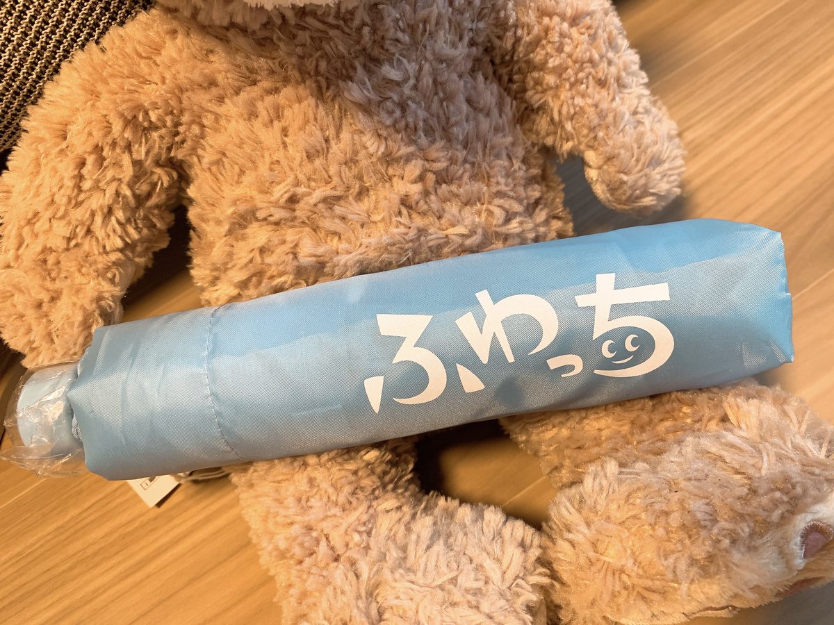 3位入賞した時の特典が届いたよ。折り畳み傘🌂
いつも思うけど、1位の方とそれ以下の入賞者の差すごくないですか、、？笑