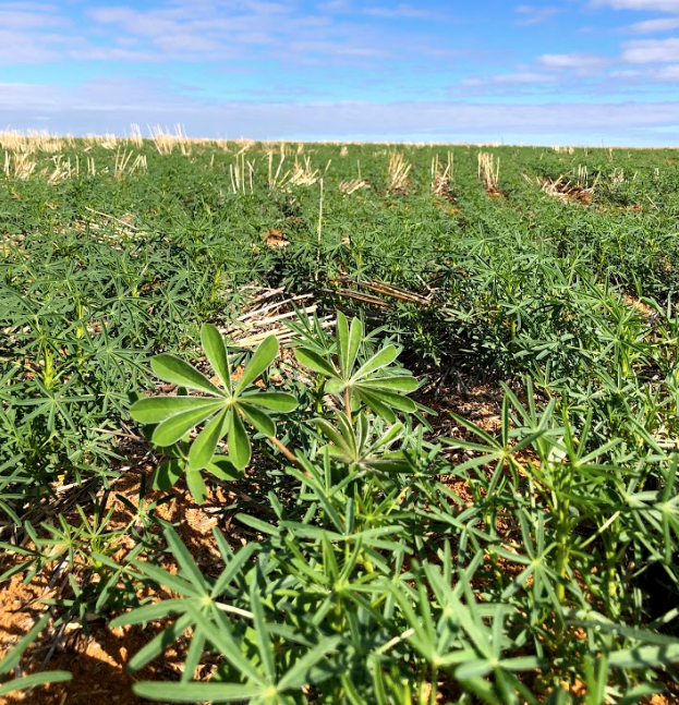 Bilberry (now part of PTx Trimble) tweet media