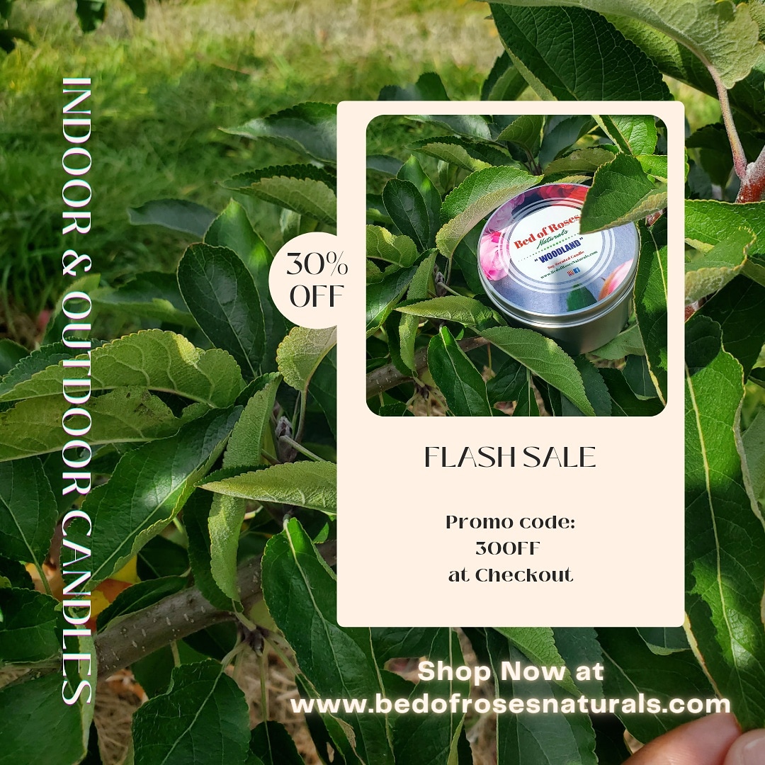 bedofroseshome's tweet photo. 🆕🆕🆕 !!Outdoor Candles w/ Citronella &amp; Lemongrass essential oils Available Now On Our Site 📶 PLUS enjoy 30% any purchase 🎉🎉🎉🎉 https://t.co/R2au8LIeQ2
#citronella #lemongrass #insectrepellent #patio #candles #candlesofinstagram #wellness #lifestylebrand https://t.co/HRqxCA45x6