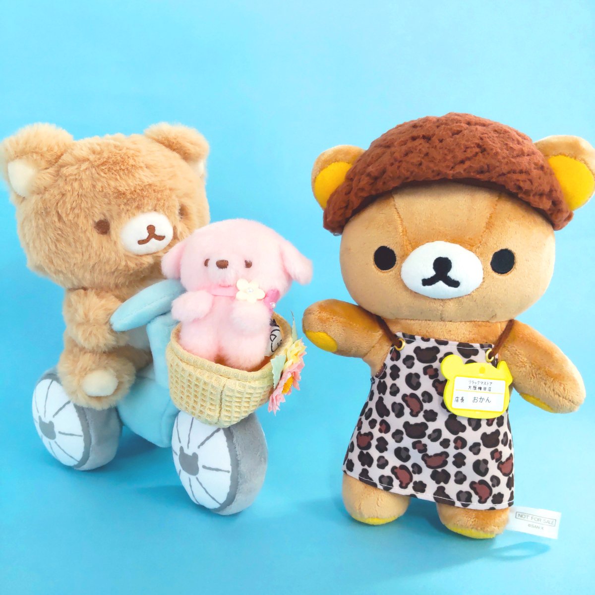 リラックマストア&すみっコぐらしshop【公式】 على X: リラックマストア&すみっコぐらしshop【公式】 على X: