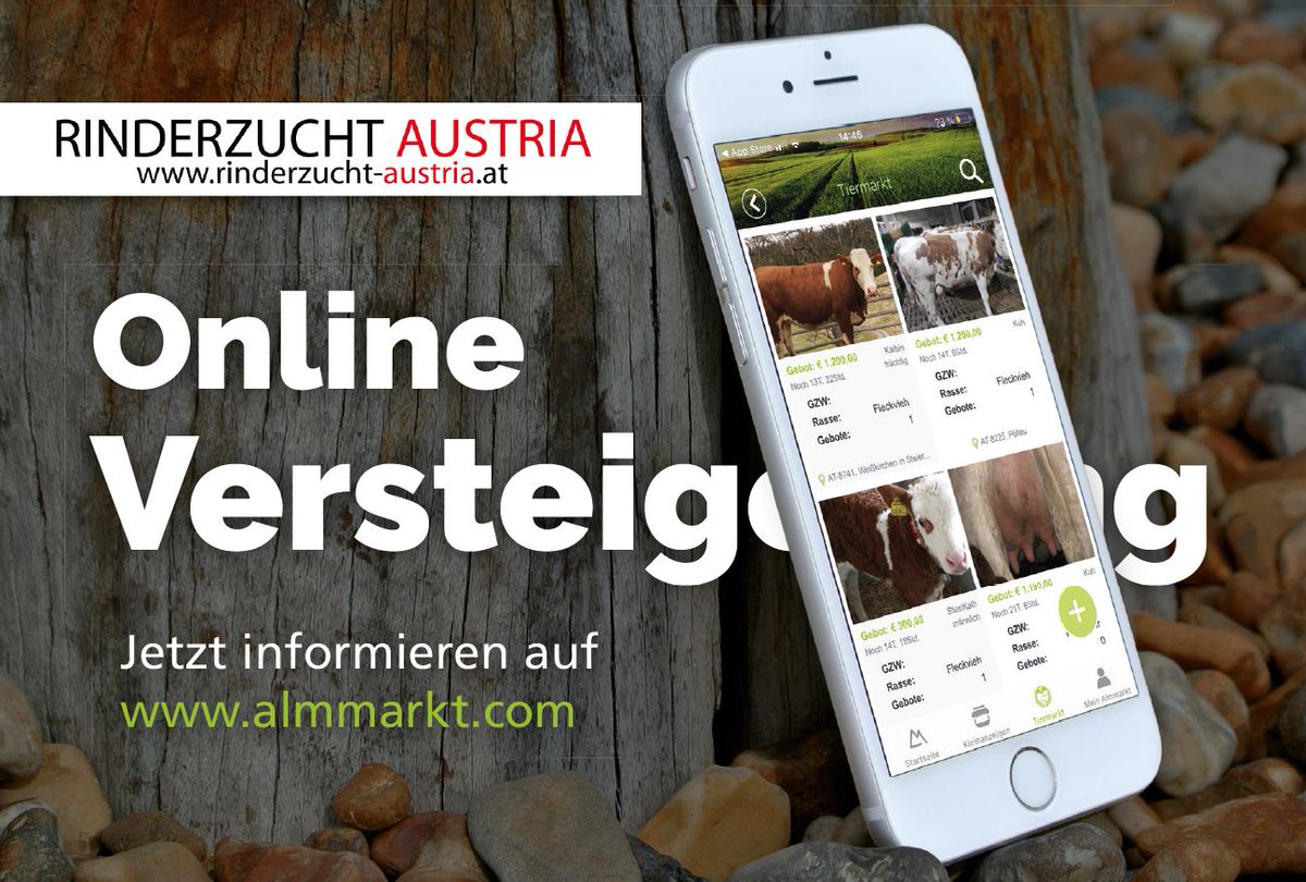beefcattle_at's tweet photo. Die Digitalisierung schreitet voran: Fleischrinder-Zuchtbetrieben können ihre Tiere über das Online-Herdebuch (https://t.co/KhJeC10QgA) präsentieren und über die Vermarktungsplattform Kuh4You (https://t.co/Fg86OGI4ut) anbieten. 
Mehr: https://t.co/6MaT6uNN20 https://t.co/x43yYmJK5j