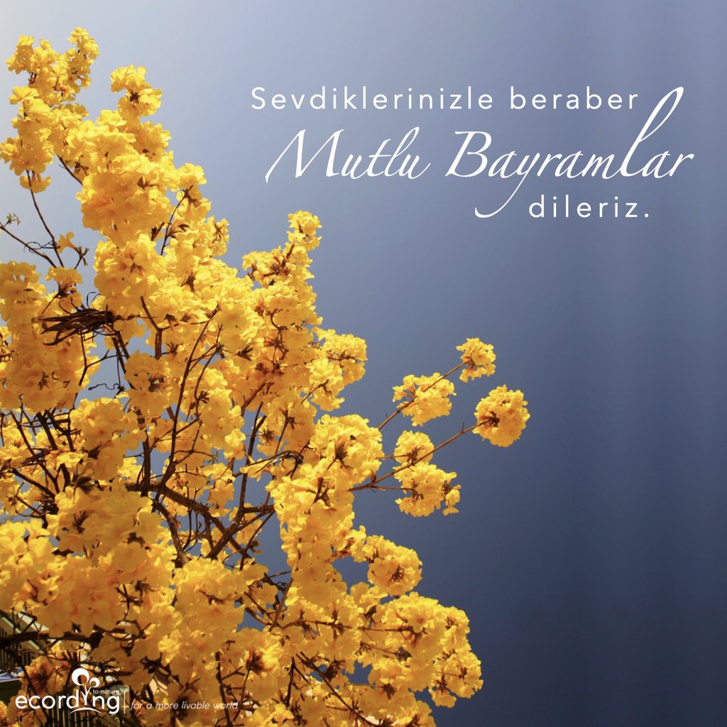 ecording ailesi olarak bayramınızı en içten dileklerimizle kutlar, sevdiklerinizle birlikte nice güzel bayramlar geçirmenizi dileriz 💚🌿