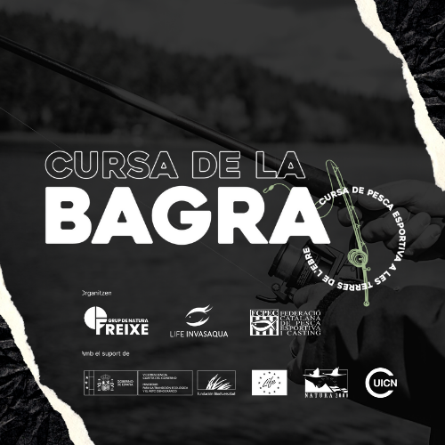 gnfreixe's tweet photo. 🏆 A poques setmanes de finalitzar la Cursa de la Bagra, el podi està molt disputat! 🎣 Molta sort, participants! https://t.co/Gw8j9nrwP5