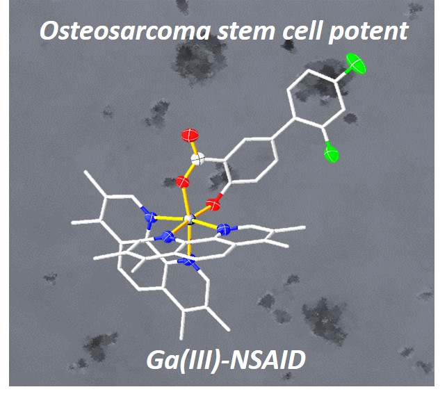 Suntharalingam Group (@_suntharalingam) on Twitter photo Really pleased to share our work on #osteosarcoma #stemcell active #gallium agents <a href="/ChemEurJ/">ChemEurJ: Chemistry - A European Journal</a>. Great teamwork from <a href="/_JJNS/">Josh NS</a> + Ginevra Passeri + Drs Zhiyin Xiao + Kuldip Singh <a href="/Leicesterchem/">Leicester Chemistry</a> <a href="/LeicStructBio/">LISCB</a>💯 Looking forward to progressing this work with <a href="/BCRT/">Bone Cancer Research Trust</a>. bit.ly/3rlddpj Really pleased to share our work on #osteosarcoma #stemcell active #gallium agents <a href="/ChemEurJ/">ChemEurJ: Chemistry - A European Journal</a>. Great teamwork from <a href="/_JJNS/">Josh NS</a> + Ginevra Passeri + Drs Zhiyin Xiao + Kuldip Singh <a href="/Leicesterchem/">Leicester Chemistry</a> <a href="/LeicStructBio/">LISCB</a>💯 Looking forward to progressing this work with <a href="/BCRT/">Bone Cancer Research Trust</a>. bit.ly/3rlddpj