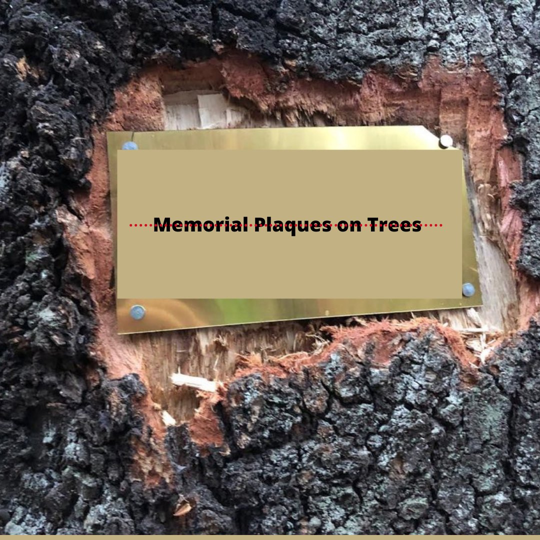 JoburgParksZoo tweet media