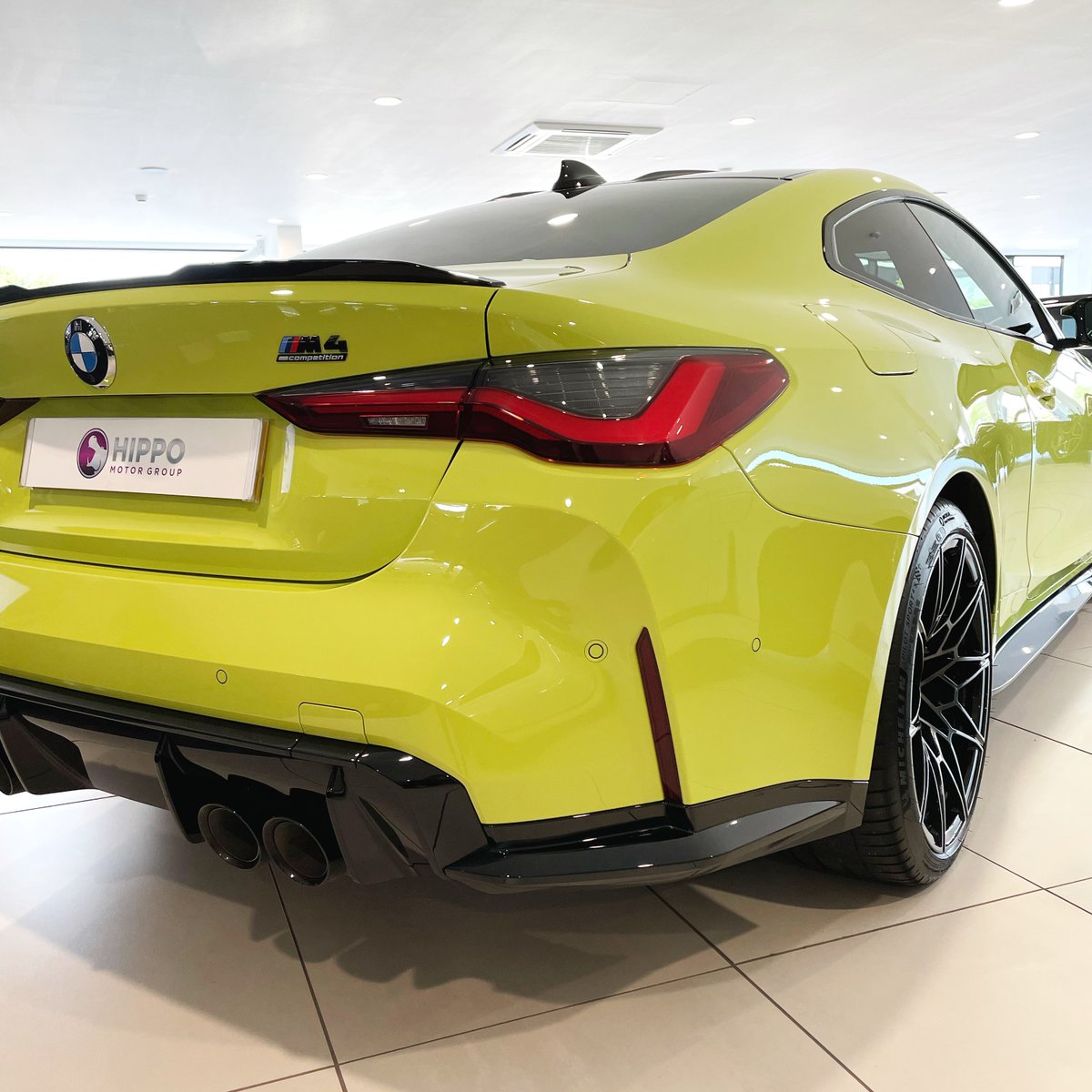 HippoApproved tweet media