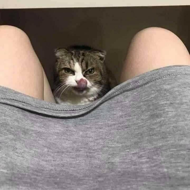 올만에 왔어요 ㅎ 요놈이 콱  #19금 #움짤 #후방주의