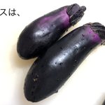 ナス好きさん必見!あの調理器具でナスを焼くと、とろとろの焼きナスが作れちゃう？!