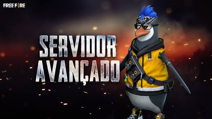 como colocar servidor avancado no ff