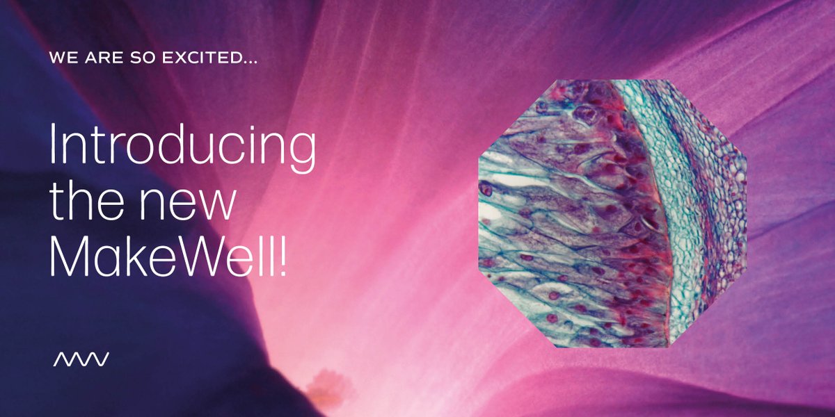 MakeWellForYou's tweet photo. Our mission, our passion, our goal, is to be there for you. We are MakeWell and MakeWell is for you. Explore our range of supplements on our new website https://t.co/roLBTtVw8J

#newbrand #makewell #makewellforyou #brandalert #nutritionalsupplements #fatigue #immune #guthealth https://t.co/5XAw5CRGUM