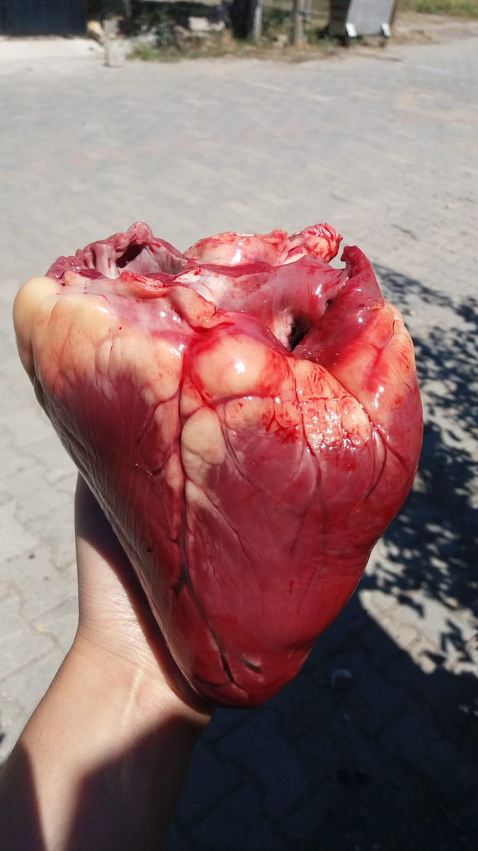 Birilerinin kalbini çaldımm