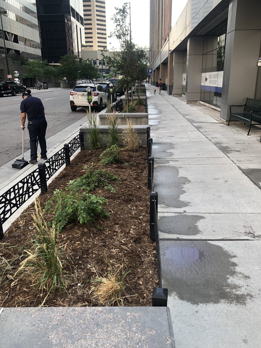 I see it happening! Keep it up! #cleanupdenver #denverproud 

Retweet if you’re thankful for a clean city. <a href="/MayorHancock/">Michael B. Hancock</a> <a href="/CityofDenver/">City and County of Denver</a>  <a href="/Rosenthal5280/">Paul Rosenthal</a>