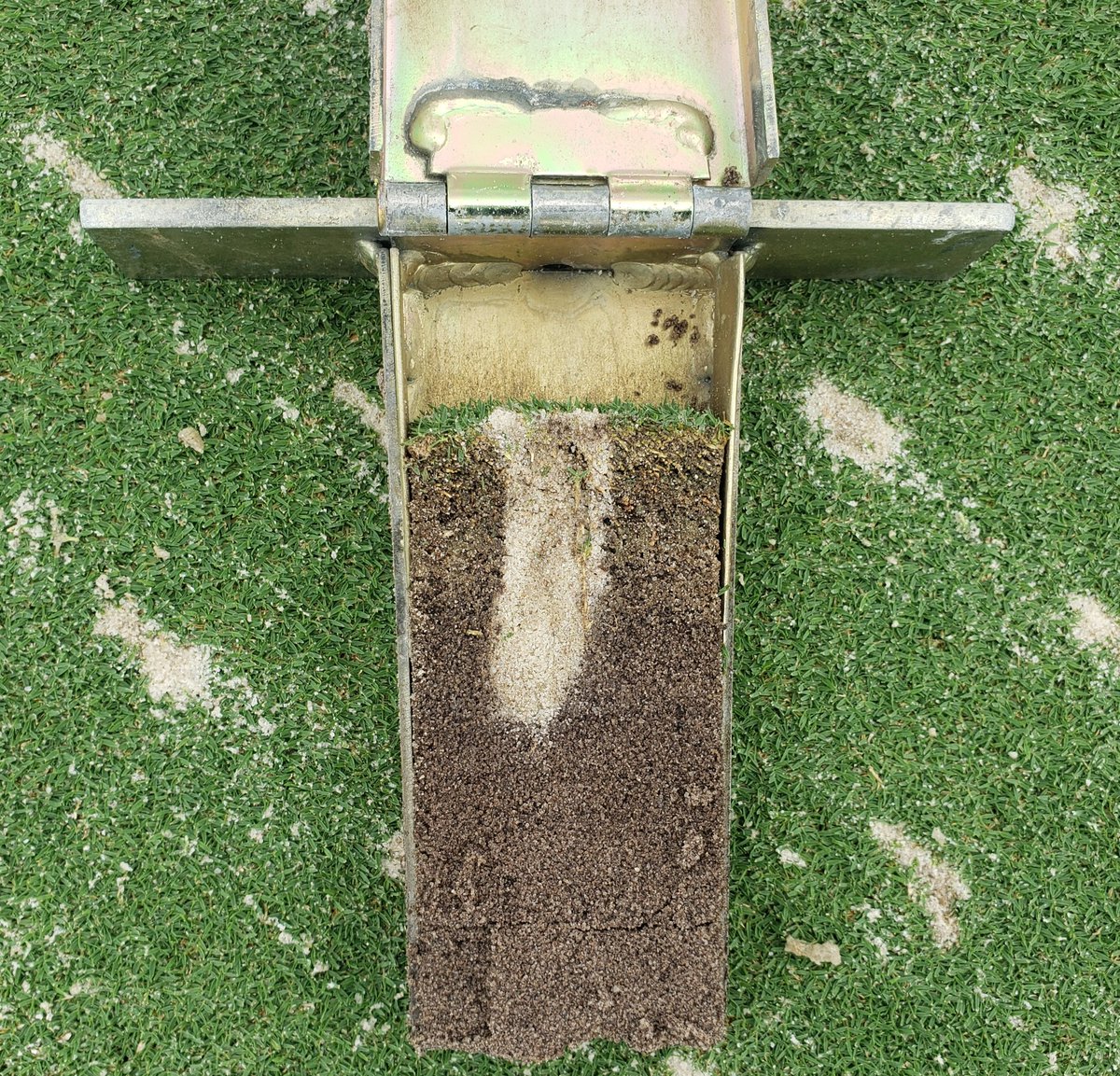 Craig Thompson, CGCS tweet media