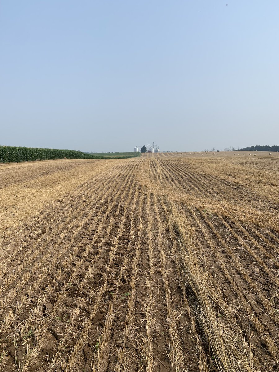 JacobOrth01's tweet image. Worth a shot. @fullbins