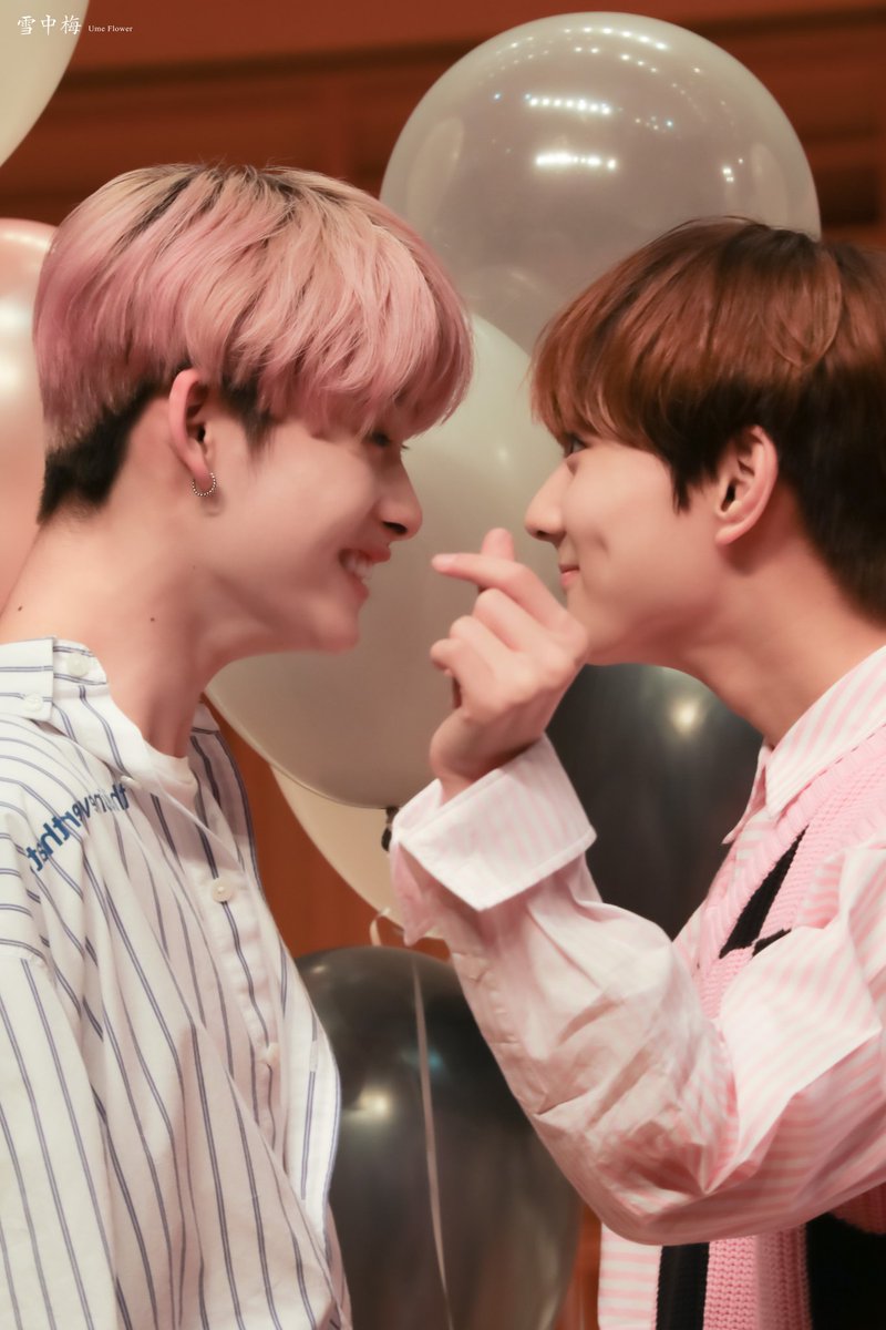 wonkittens's tweet photo. https://t.co/16S0wvykOl