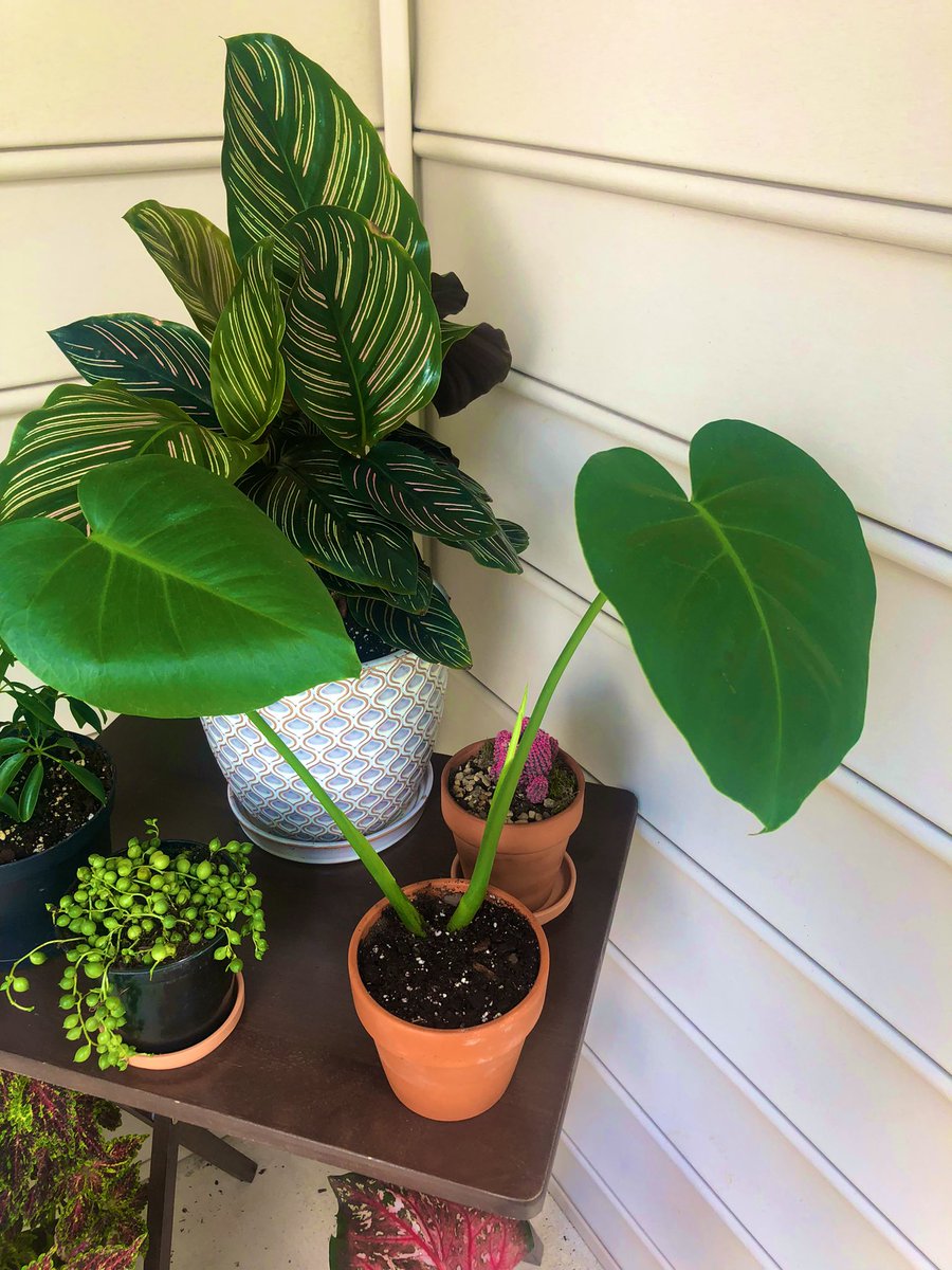 jordiebby's tweet image. ☺️